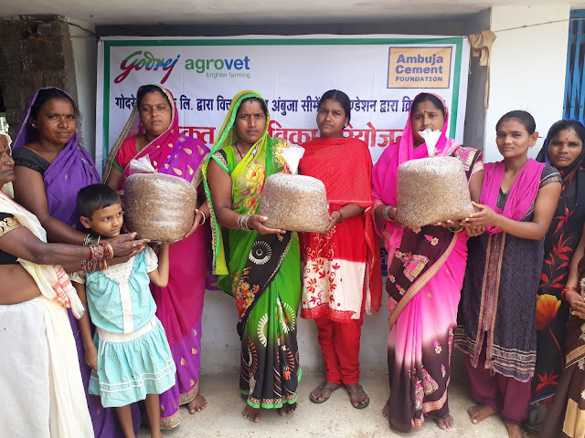 Godrej Agrovet partnership with Ambuja Foundation